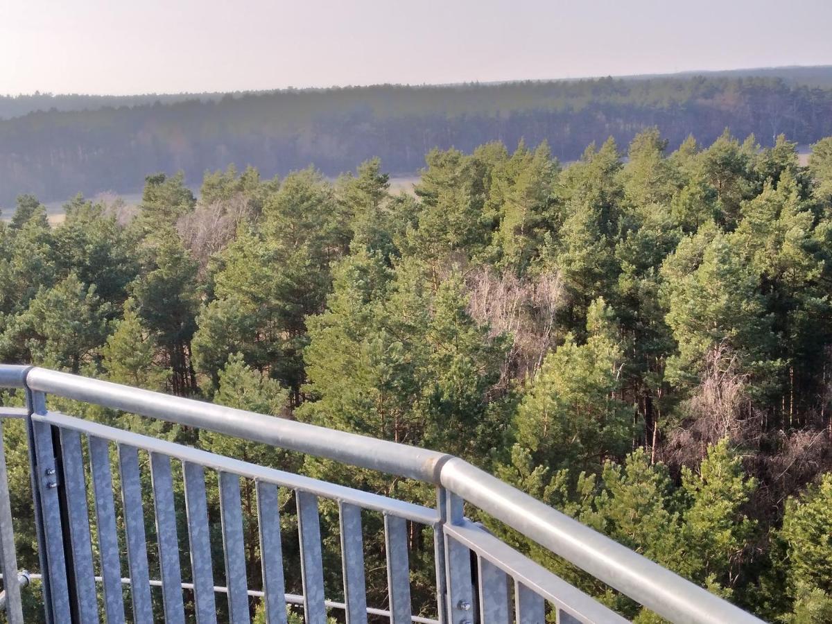 Suderburg Waldhaus Hildeヴィラ エクステリア 写真