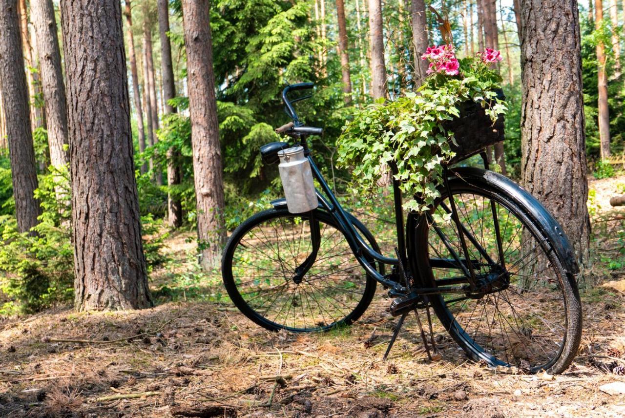 Suderburg Waldhaus Hildeヴィラ エクステリア 写真